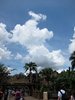 IMG_0882
