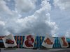 IMG_0852