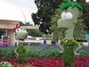IMG_0694