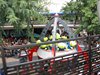 IMG_0919