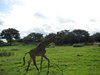 IMG_0747