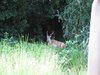 IMG_0744