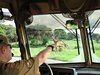 IMG_0746