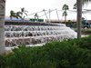 IMG_0696